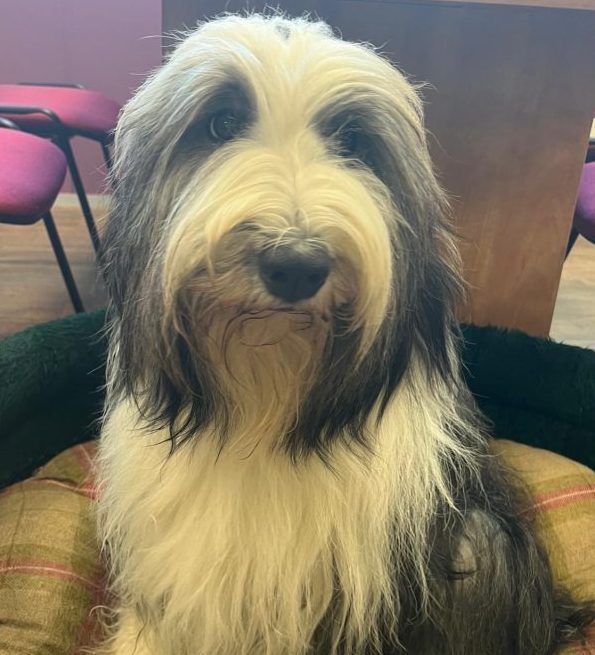 01f9554a-8290-4a27-a103-3b6dacef2cbe