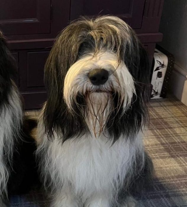 44d89018-be53-4c45-b286-eaaaebfb92e5